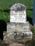 image of grave number 784315